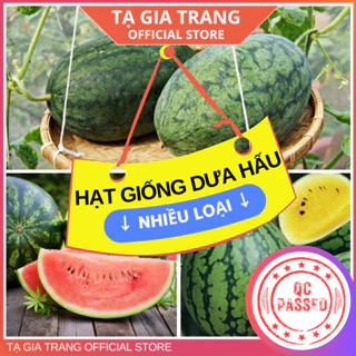 Hạt giống các loại dưa hấu siêu ngon