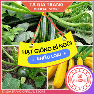 Hạt giống các loại bí ngòi (bí ngồi) cao sản