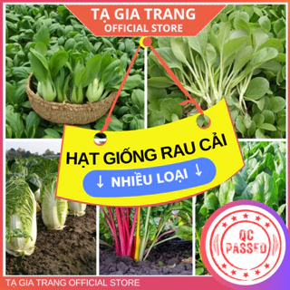 Hạt giống các loại rau cải - Shop hạt giống Tạ Gia Trang