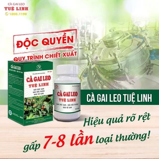 Cà Gai Leo Tuệ Linh [Chính hãng] -date t3/2027- Giúp bảo vệ và tăng cường chức năng gan, giải độc gan, ngừa xơ gan