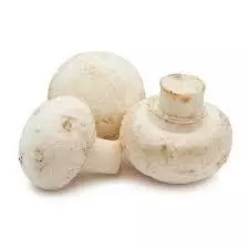 Nấm mỡ trắng tươi (giống Nhật Bản) An Khánh 150g-nấm tươi, không chất bảo quản