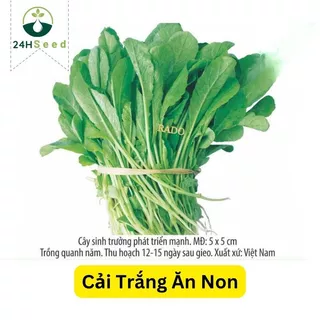 Hạt giống rau cải trắng ăn non gói 30 gam 24HSeed