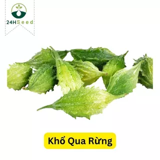 Hạt giống khổ qua rừng 24HSeed