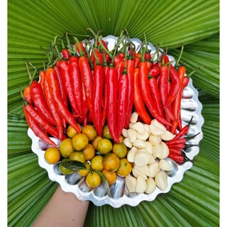 Bánh Tráng Sate tỏi ớt MV