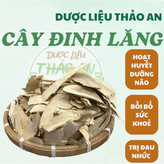 1 kg CÂY ĐINH LĂNG khô đẹp, loại 1 - cơ sở dược liệu Thảo An