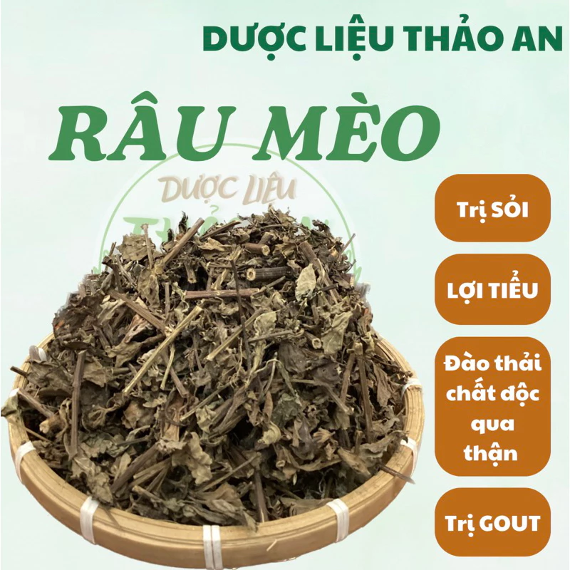 1 kg cây RÂU MÈO khô mới sạch đẹp, loại 1 - cơ sở dược liệu Thảo An