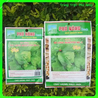 Hạt Giống Rau Xà Lách Búp Minetto Phú Nông - Gói 2g - Lettuce Minetto