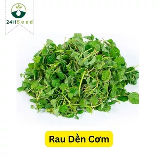 Hạt giống rau dền cơm 24HSeed