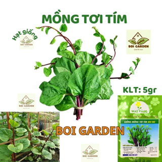 Hạt giống rau MỒNG TƠI TÍM (155)