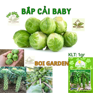 Hạt giống BẮP CẢI BABY TÍ HON (176)