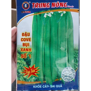 Hạt giống đậu cove bụi trung nông 20gr