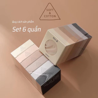 Set 6 quần chip su thạch