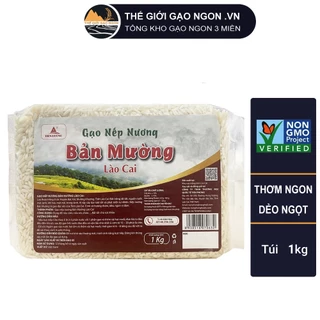 Gạo nếp nương bản mường Điện Biên túi 1kg - Giá Sỉ, Date mới