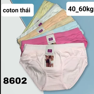 Quần lót thun thái cao cấp phom 40_60kg (com bo 5 quần)