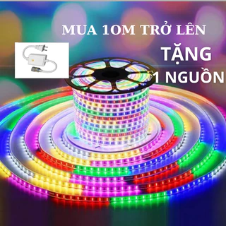 Dây led đuổi 2835 chống nước trang trí ngoài trời trang trí tết noel nhớ mua kèm nguồn