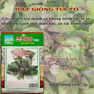Hạt giống tía tô PN-200 2gr perilla hạt giống chắc khỏe, tỉ lệ nẩy mầm >95% (Vườn Sài Gòn - Vuon Sai Gon)