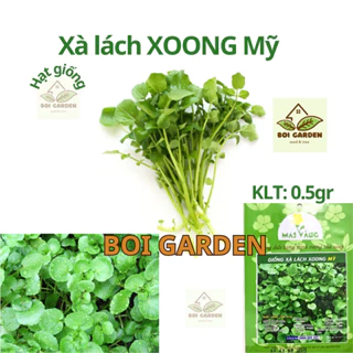 Hạt giống XÀ LÁCH XOONG MỸ (179)