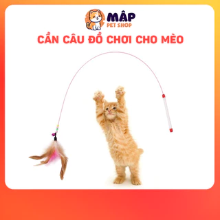 [Free Ship] Cần Câu Mèo - Đồ Chơi Dành Cho Mèo - Giúp Mèo Thư Giản - Năng Động