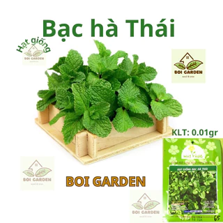 Hạt Giống Bạc Hà Thái (135)