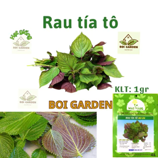 Hạt giống Rau Tía Tô (128)