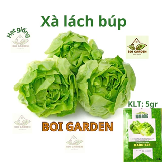 Hạt giống rau xà lách búp RADO45 (124)