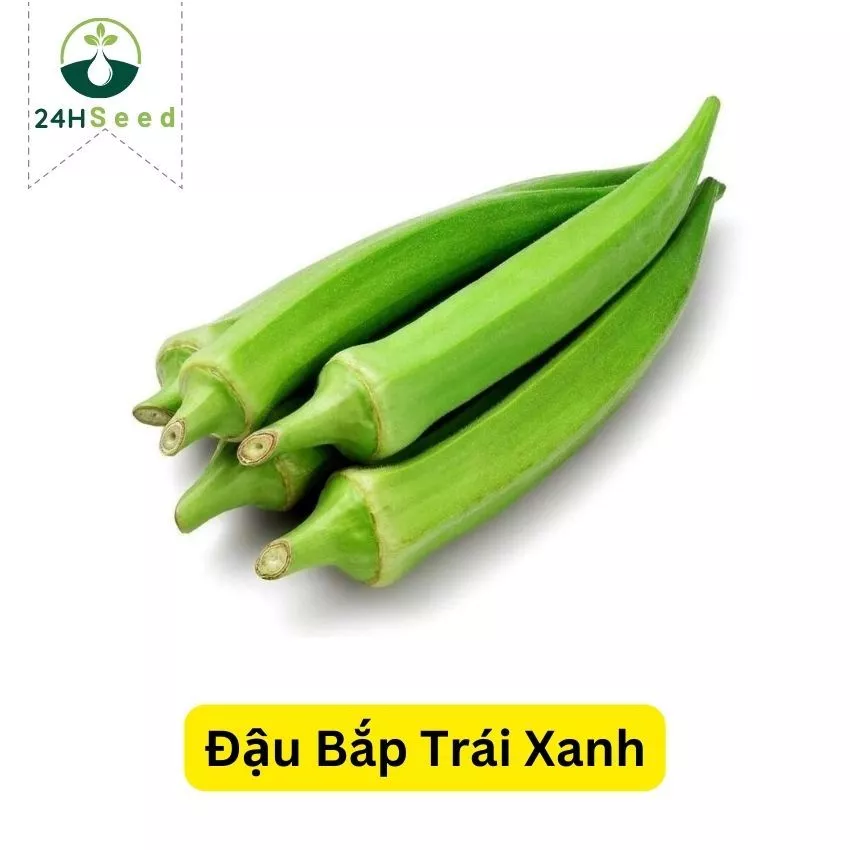 Hạt giống đậu bắp trái xanh 24HSeed