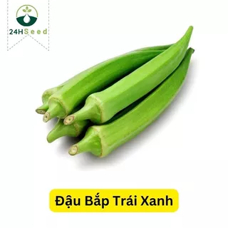 Hạt giống đậu bắp trái xanh 24HSeed