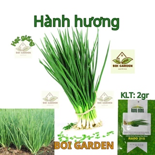 Hạt giống Hành Hương chịu nhiệt (102)