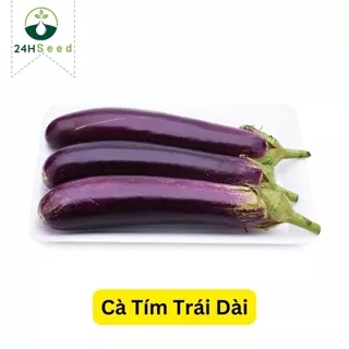 Hạt giống cà tím trái dài dễ trồng 24HSeed