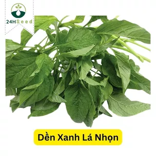 Hạt giống rau dền xanh lá nhọn gói 20 gam 24HSeed