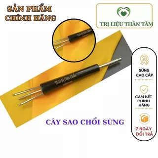 Cây sao chổi Diện Chẩn Thân Tâm chất liêu sừng