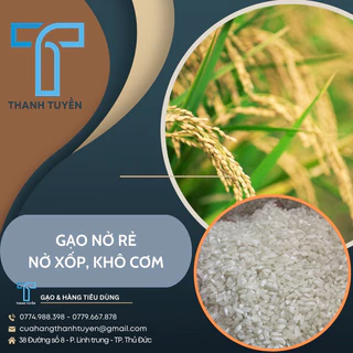 Gạo Nở - Nở 504 Nở Xốp, Khô Cơm, Lợi Cơm Túi 1Kg