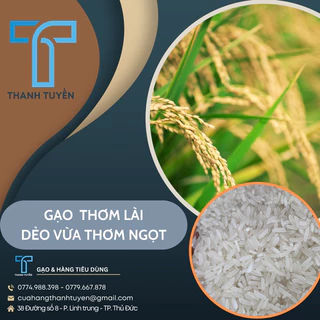 Gạo Thơm Lài Dẻo Vừa Thơm Ngọt Bao 5Kg