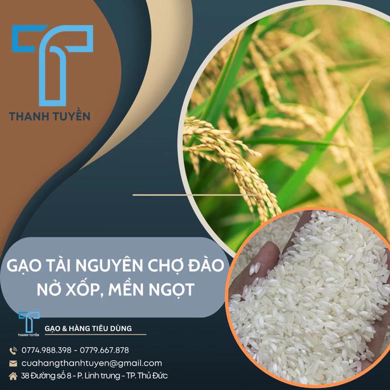 Gạo Tài Nguyên Chợ Đào Nở Xốp Mềm Cơm Bao 5Kg