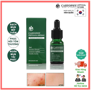 Tinh Chất Caryophy Portulaca Ampoule