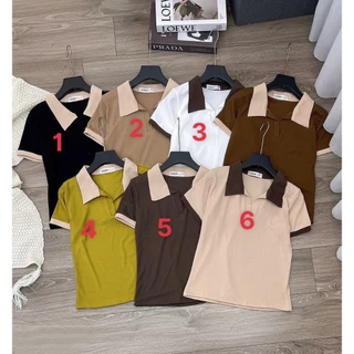 Áo thun Polo Size M,L,XL Suông rộng DOGA  nhìu màu  phối màu trẻ trung năng động chât thun cotton không xù lông M146