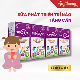 Combo 2 lốc sữa pha sẵn Buddilac hương vani 110ml