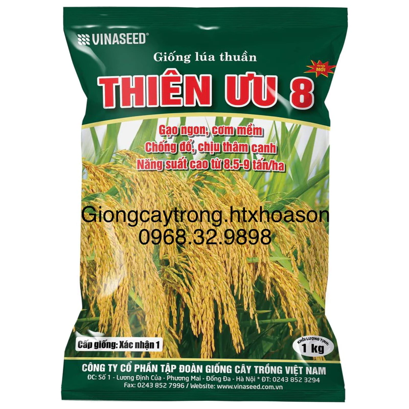 HẠT GIỐNG LÚA THIÊN ƯU 8 NEW GÓI 1KG- GẠO NGON, CƠM MỀM- CHỐNG ĐỔ, CHỊU THÂM CANH- NĂNG SUẤT CAO TỪ 8,5-9 TẤN/HA