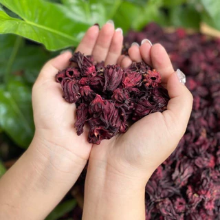 Trà khô Atiso đỏ (Trà Hibiscus) loại nguyên bông giảm cân, ngủ ngon [100gr] đã lựa sạch