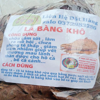 1kg lá bàng khô rụng tự nhiên