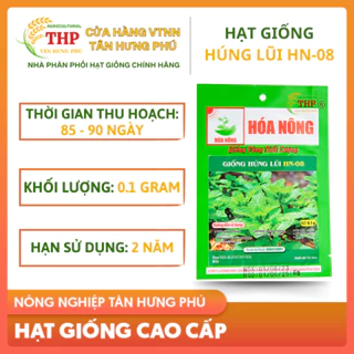 Giống Húng Lũi HN-08