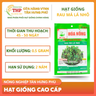 Giống Rau Má Lá Nhỏ