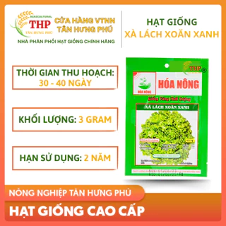 Giống Xà Lách Xoăn Xanh