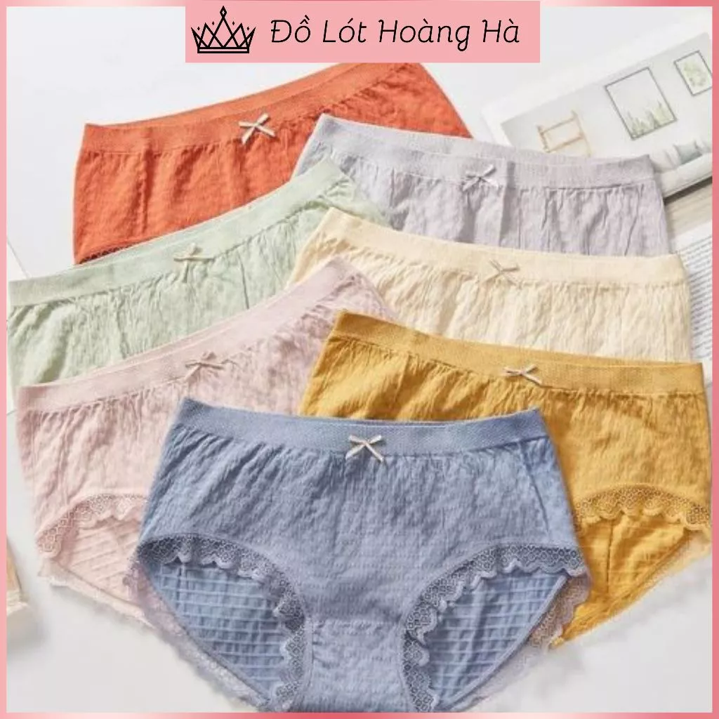 Combo 5 Quần Lót Nữ Nhăn Chất Cotton Thoáng Mát Phối Viền Ren Mỏng Đính Nơ Dễ Thương