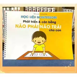 Học Liệu Cân Bằng Não Trái Não Phải Cho Bé, Học liệu Montessori giáo dục sớm phát triển tư duy sớm cho bé