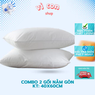 Combo 2 ruột gối nằm hơi kích thước 40x60cm.