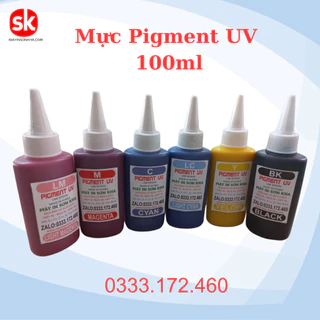 Bộ mực Pigment UV cho máy in phun màu Epson (100ml)