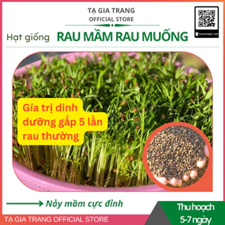 Hạt giống rau muống mầm