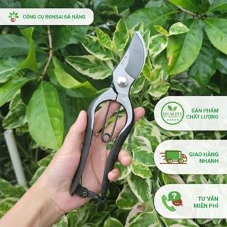 Kéo cắt cành, kéo cắt tỉa cành cây mỏ quạ hàng thép đúc đen nguyên khối cao cấp [KCC-031] – Công cụ bonsai Đà Nẵng