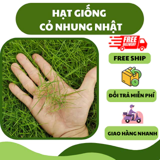 Hạt giống cỏ nhung nhật sân vườn (10 gram) - cỏ thảm, cỏ trang trí đẹp, dễ trồng